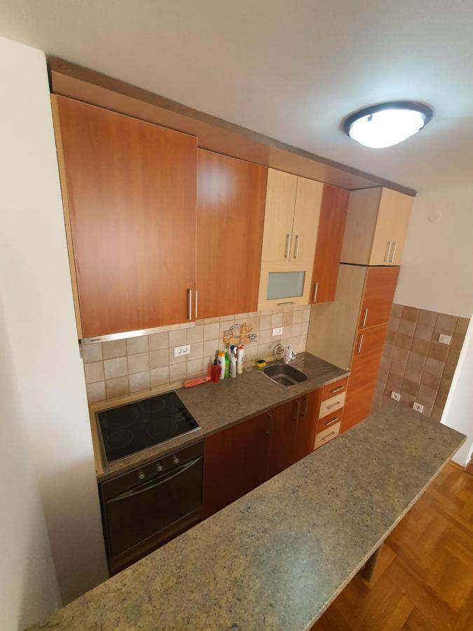 Oksana Apartment Podgorica Bagian luar foto