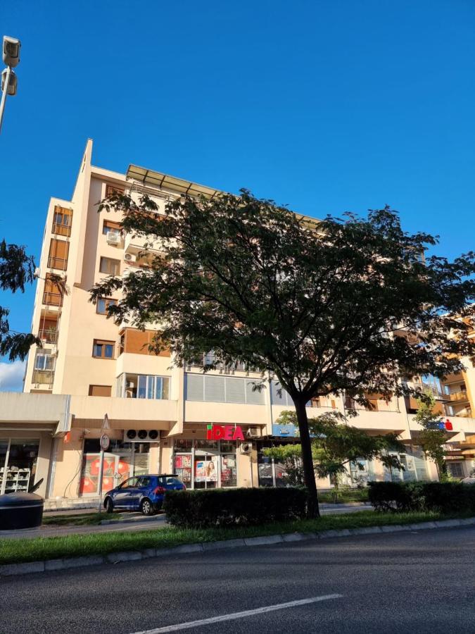 Oksana Apartment Podgorica Bagian luar foto